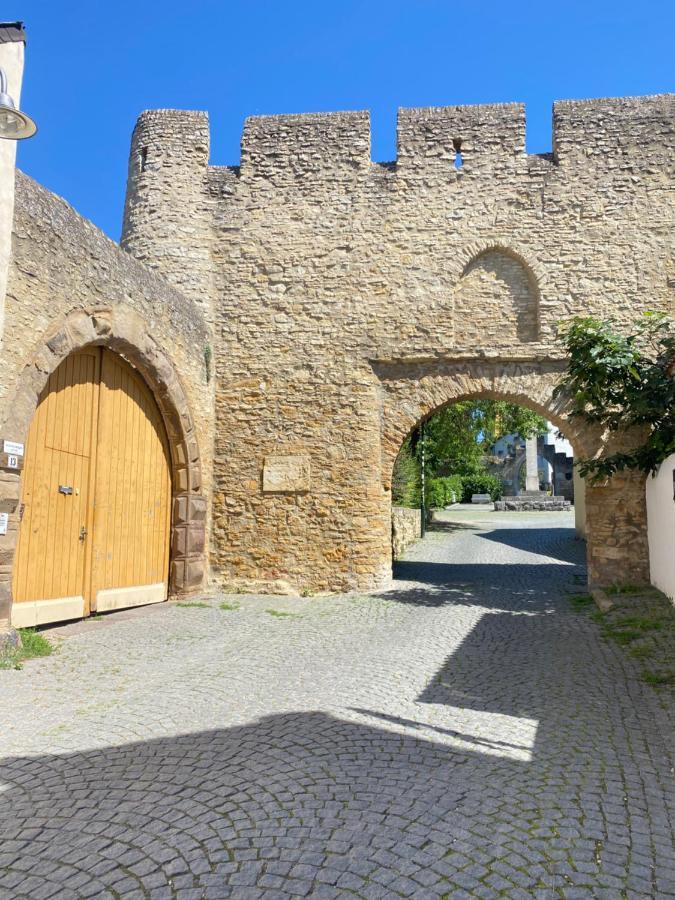 Haeuschen Am Plenzer Villa Ingelheim am Rhein Exterior photo
