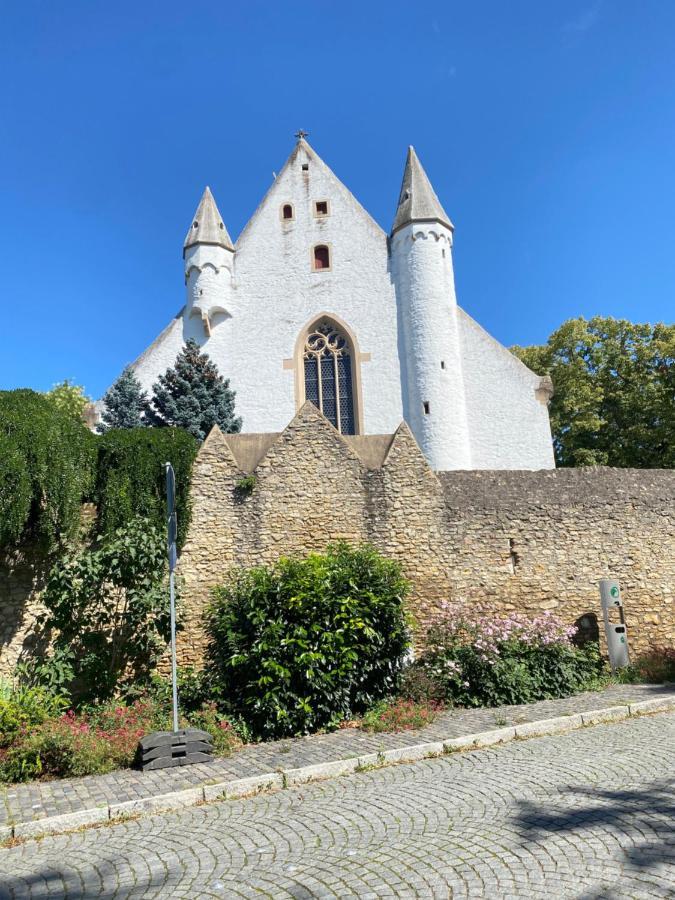 Haeuschen Am Plenzer Villa Ingelheim am Rhein Exterior photo