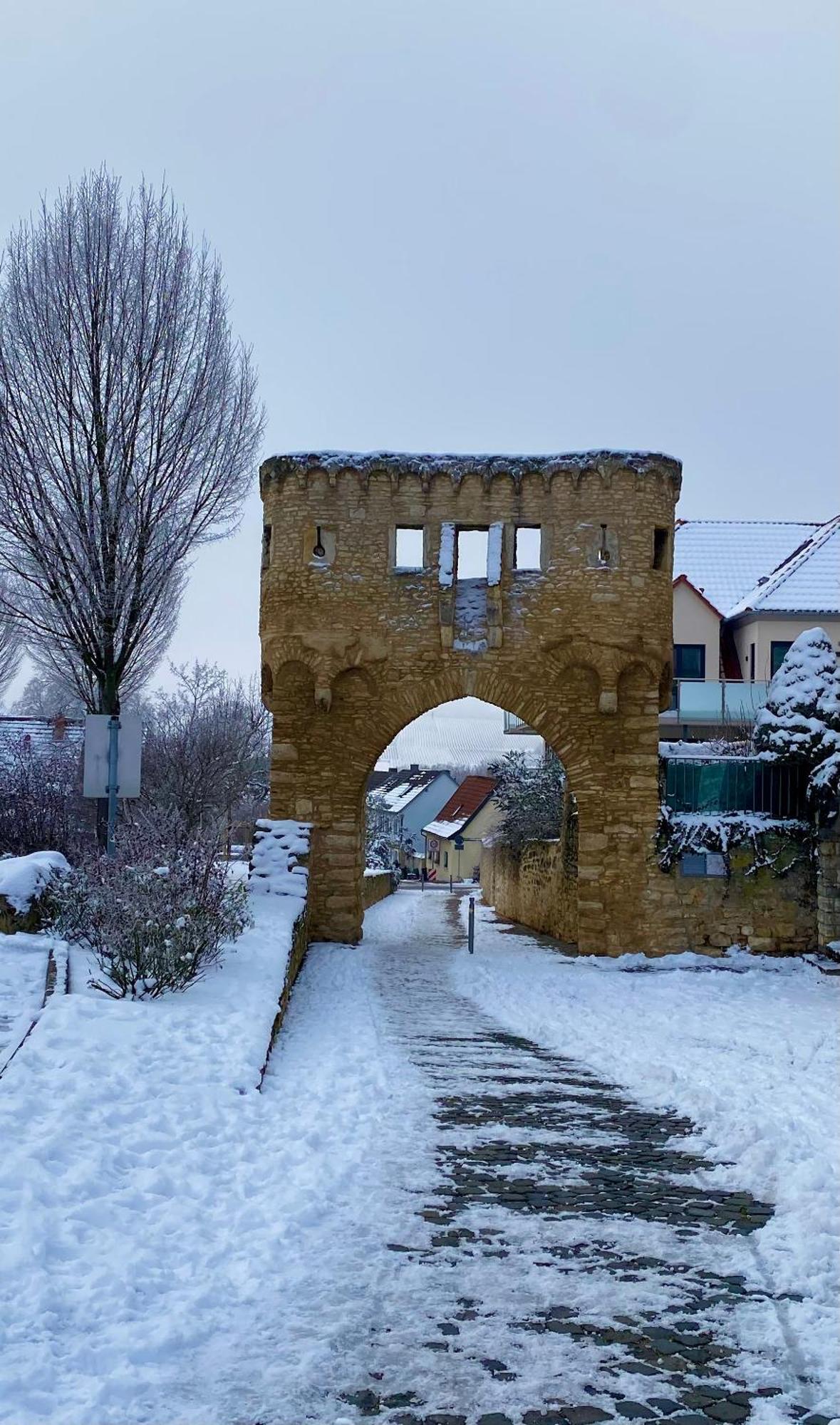 Haeuschen Am Plenzer Villa Ingelheim am Rhein Exterior photo